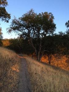 Nature Path near Las Lomas in Atascadero