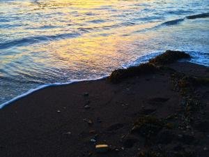 Sunset Tides at Shell Beach