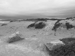 23783686 10212262412167806 7382367978240854930 o