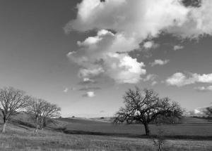 23783714 10212268911210278 5468255555525431952 o