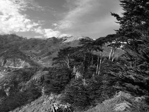 23916399 10212282070779259 7102609264030018189 o