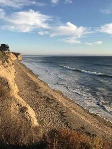 Cliff and Shoreline at Shell Beach