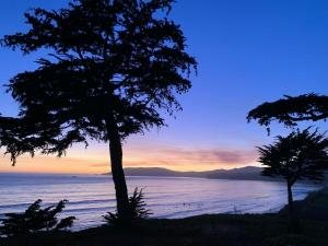 Blue Horizon at Shell Beach