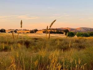 Autumn in Atascadero