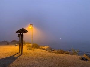 Fog at Morro Rock