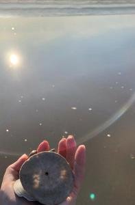 Collecting shells on Pismo Beach