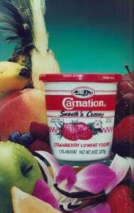 CarnationYogurt