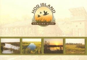 Hog Island Brochure