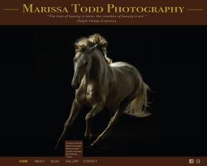 Marissa Todd Website