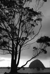 Morro-Bay 1bw