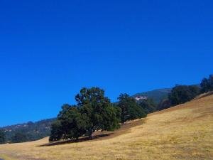 Photo-Tejon-Ranch 1