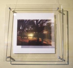 Walking-Path digital-media-in-plexi